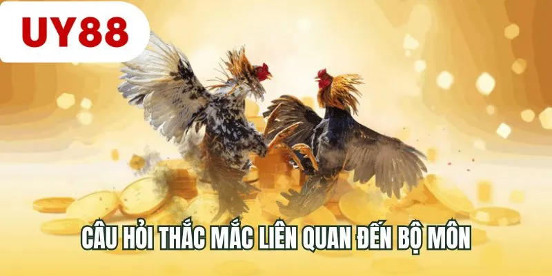Câu hỏi thắc mắc liên quan đến bộ môn