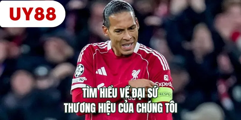 Tìm hiểu về đại sứ thương hiệu của chúng tôi